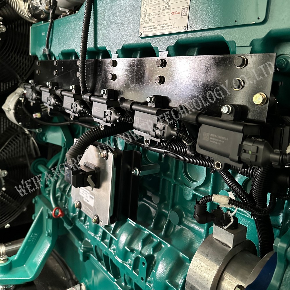 250kW 312.5kVA 天然氣發(fā)電機(jī)組