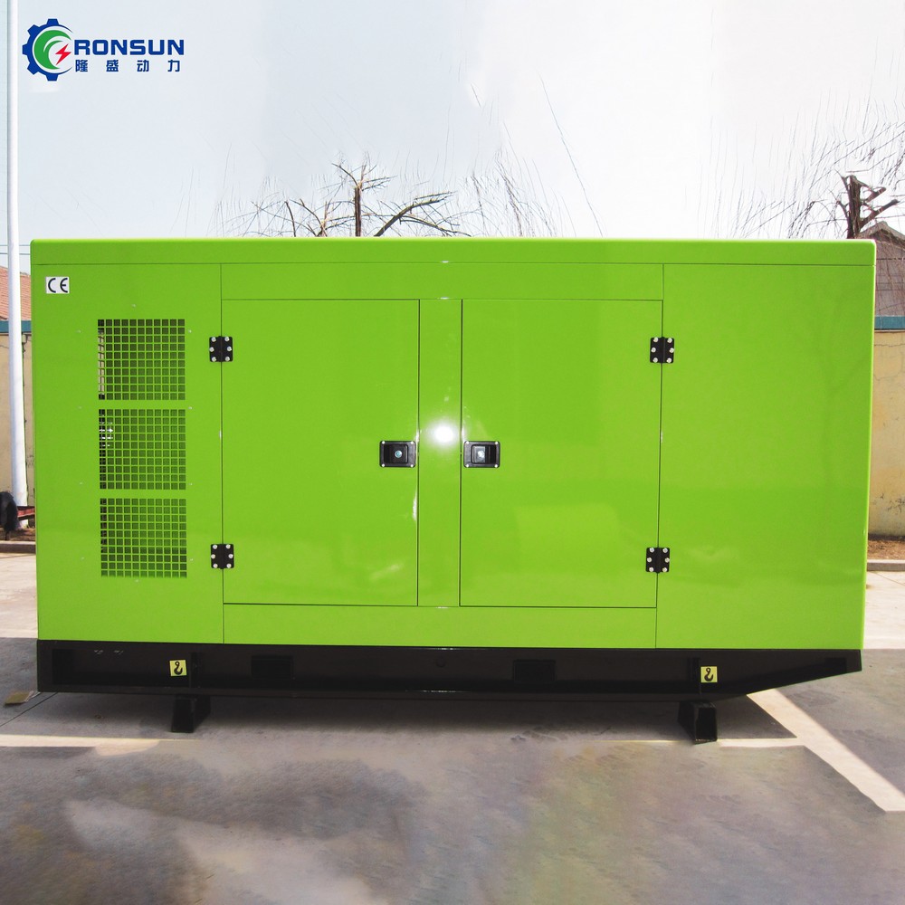 80kW 100kVA 沼氣發(fā)電機組