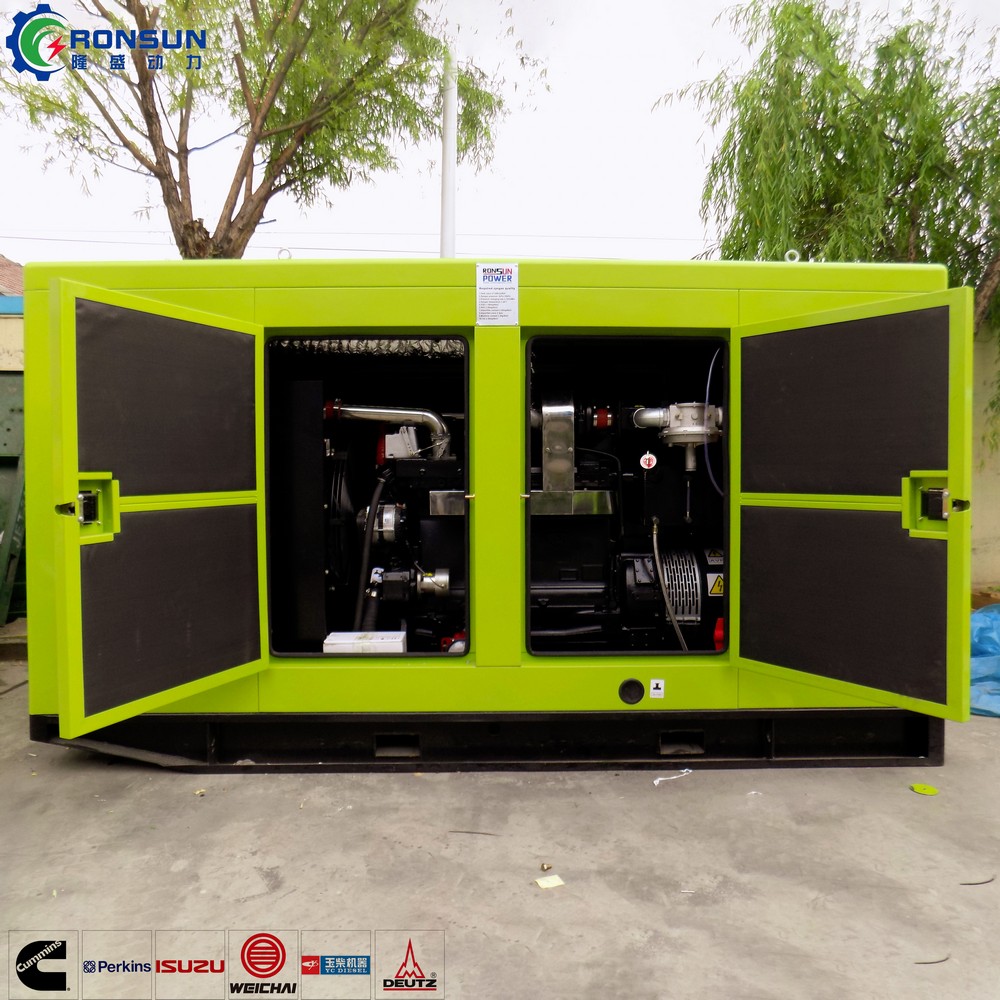 50kW 62.5kVA 沼氣發(fā)電機組