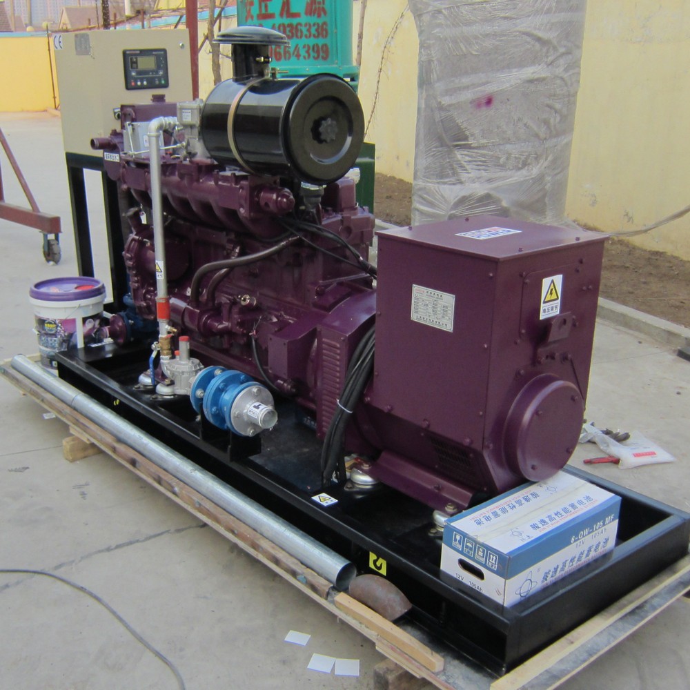 40kW 50kVA 沼氣發(fā)電機組