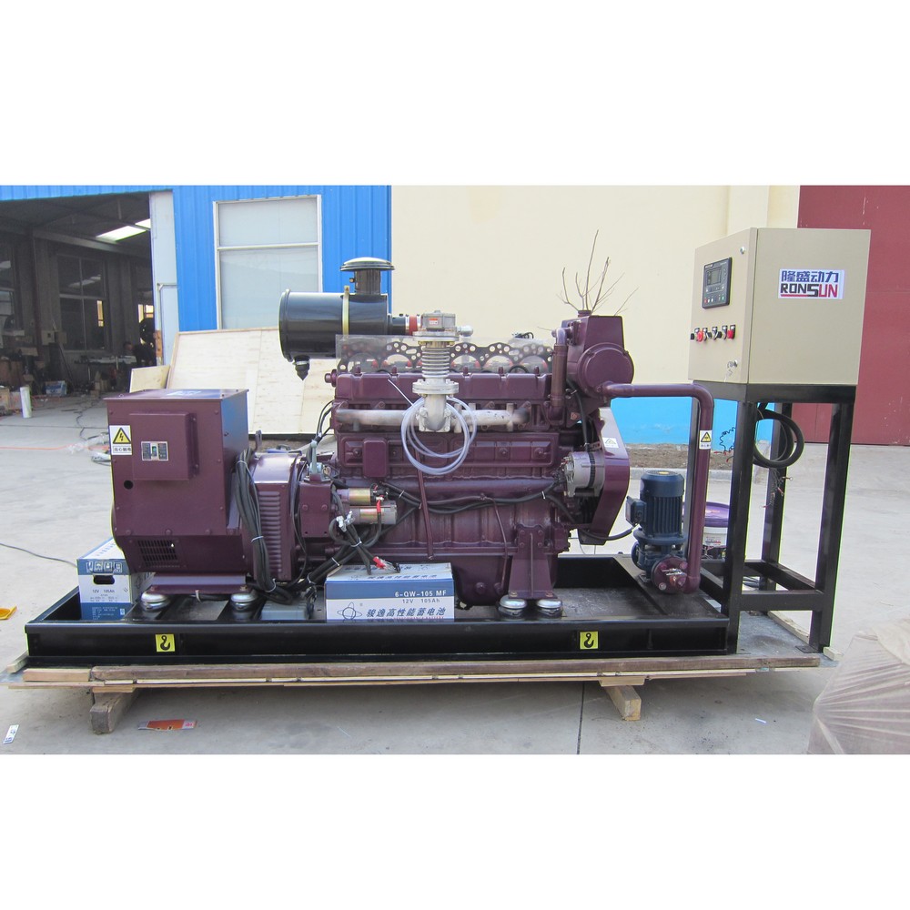 40kW 50kVA 沼氣發(fā)電機組