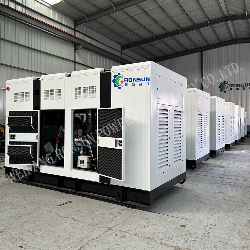 250kW 312.5kVA 天然氣發(fā)電機(jī)組