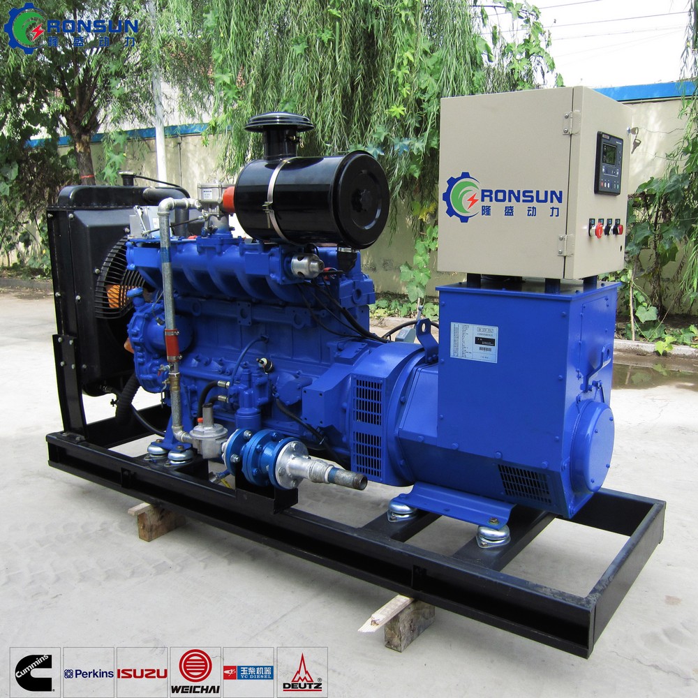 50kW 62.5kVA 沼氣發(fā)電機組