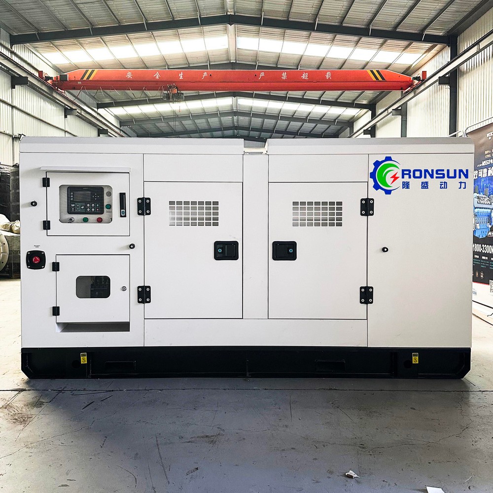 40kW 50kVA 沼氣發(fā)電機組