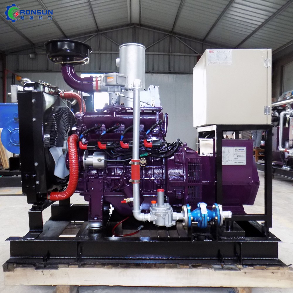 30kW 37.5kVA 沼氣發(fā)電機組